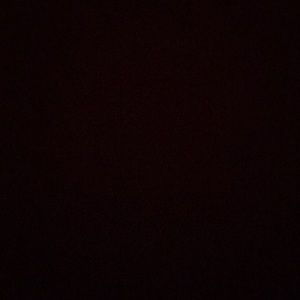 Meet your Posher, Maddie